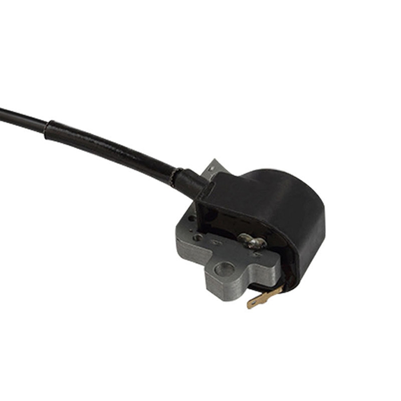 High Voltage Ignition Coil for - Garden Tools 评论和价格